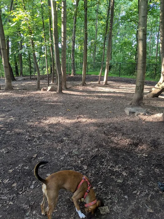 Cabin John Regional Dog Park 6
