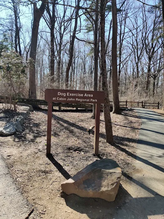 Cabin John Regional Dog Park 1