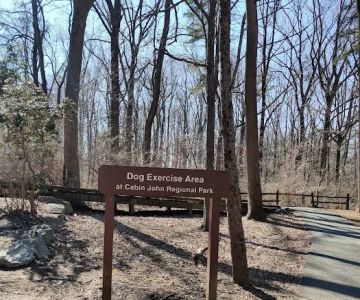 Cabin John Regional Dog Park