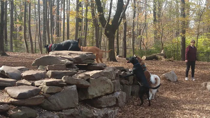 Cabin John Regional Dog Park 9