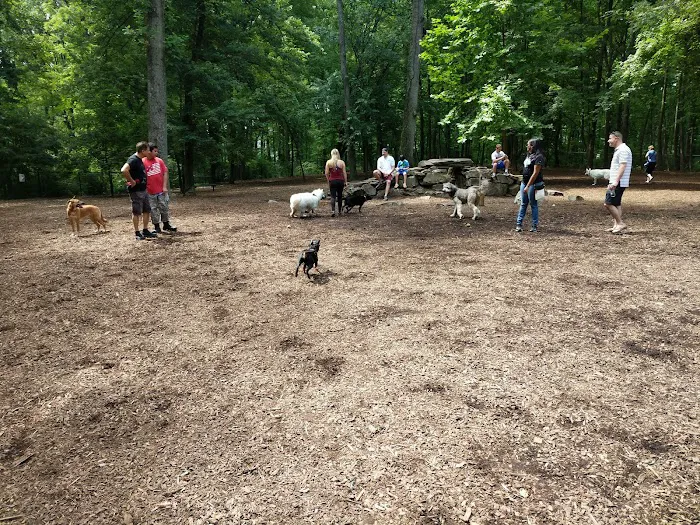 Cabin John Regional Dog Park 5
