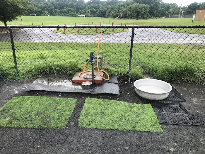 Baron Cameron Dog Park 4