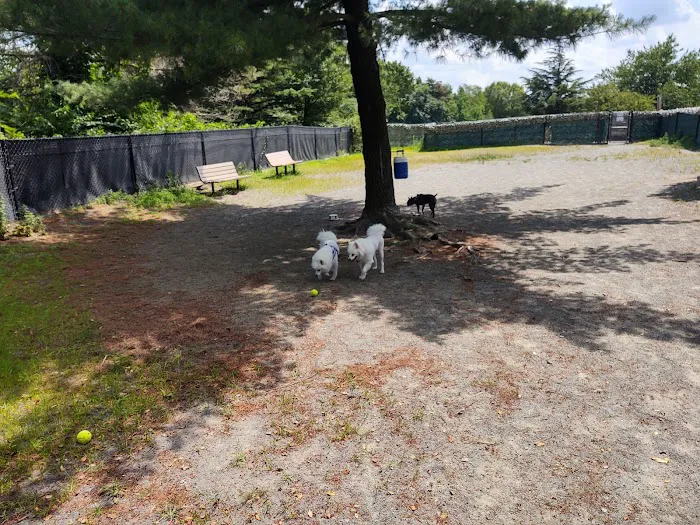 Baron Cameron Dog Park 3