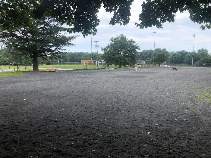 Baron Cameron Dog Park 6