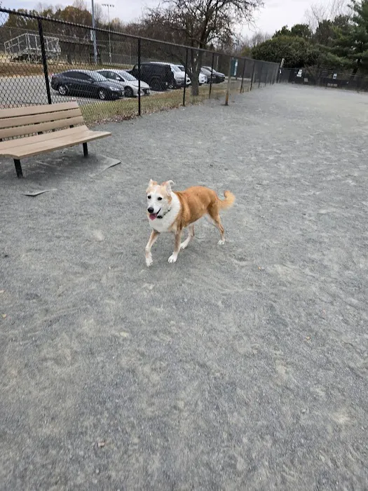 Baron Cameron Dog Park 9