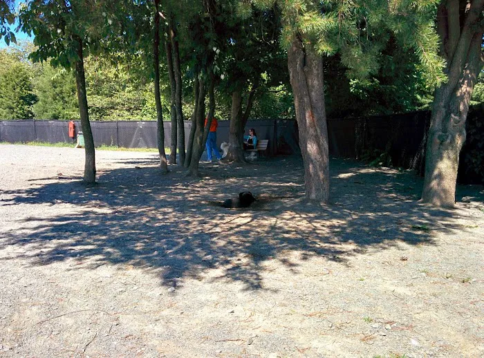 Baron Cameron Dog Park 10