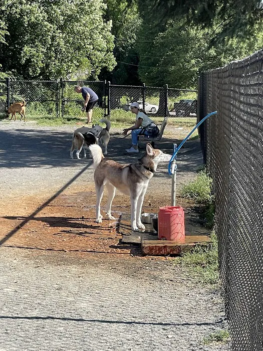 Baron Cameron Dog Park 5
