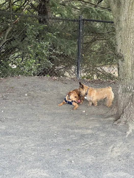 Baron Cameron Dog Park 8