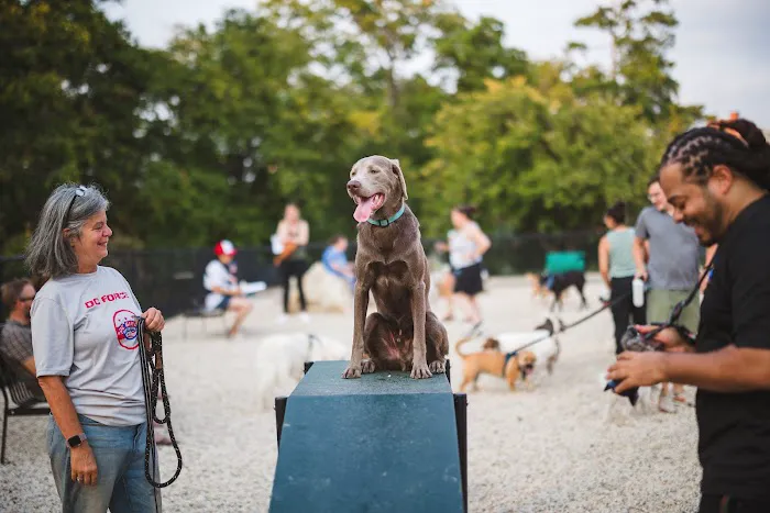 Dog Park at The Parks 6