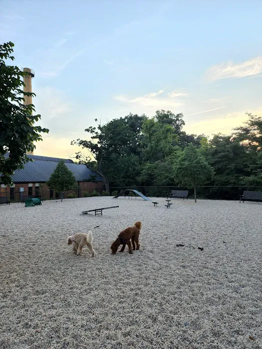 Dog Park at The Parks 8