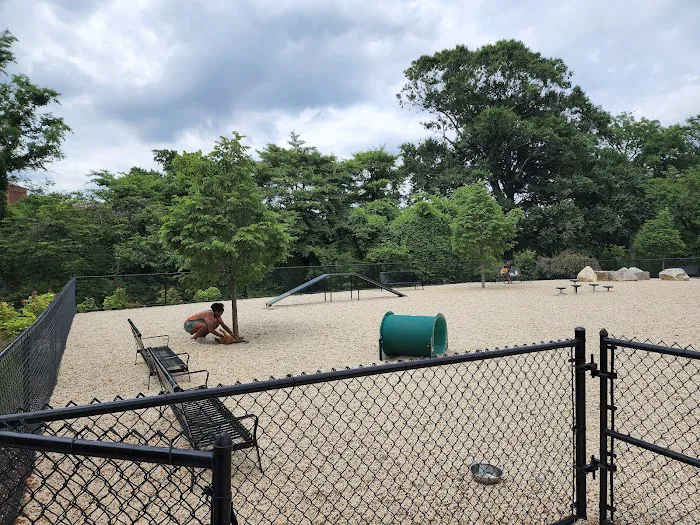 Dog Park at The Parks 5