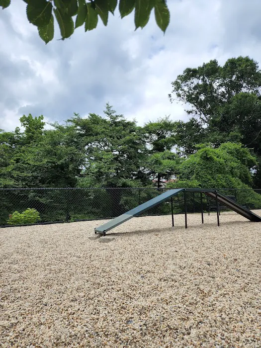 Dog Park at The Parks 10