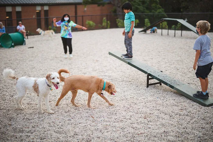 Dog Park at The Parks 7