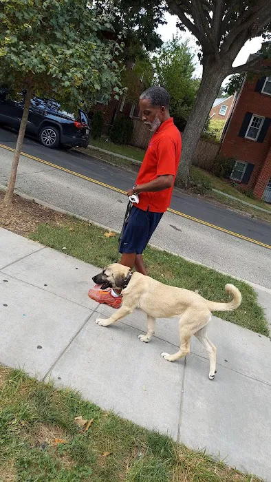 Takoma Dog Park 1
