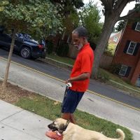 Takoma Dog Park ico