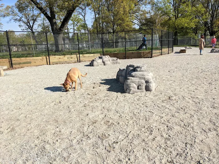 Takoma Dog Park 7