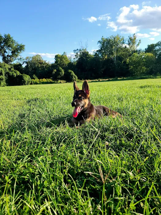 Heurich Dog Park 10