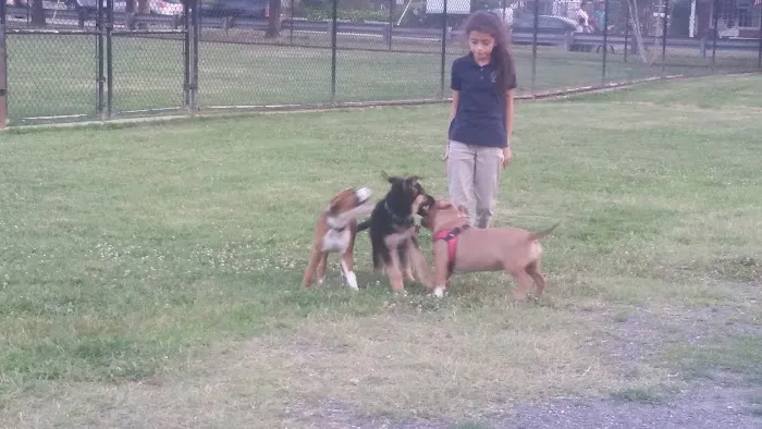 Heurich Dog Park 4