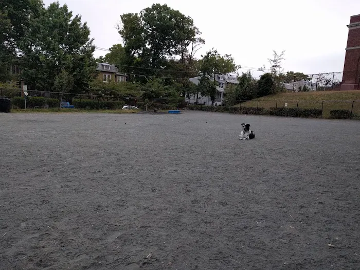 Upshur Dog Park 2