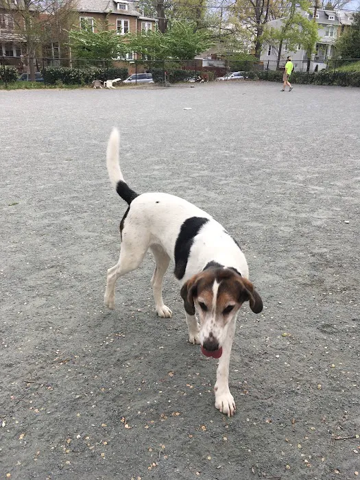 Upshur Dog Park 7