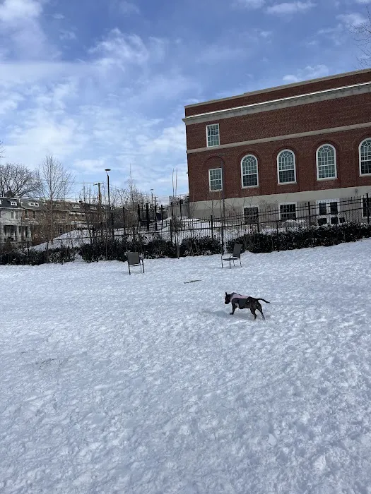 Upshur Dog Park 1