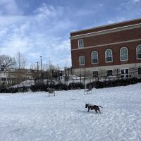 Upshur Dog Park ico