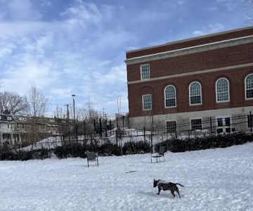 Upshur Dog Park