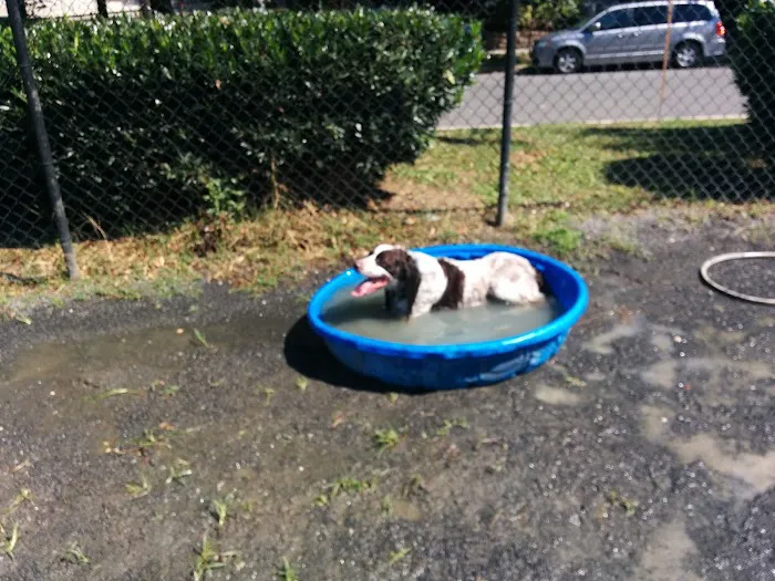 Upshur Dog Park 8