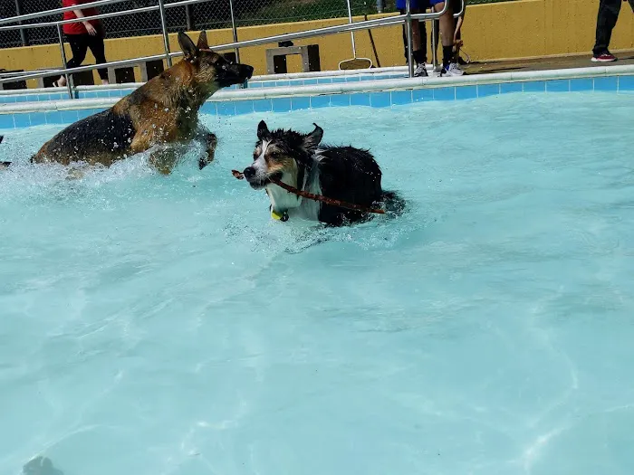 Upshur Dog Park 6