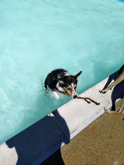Upshur Dog Park 5