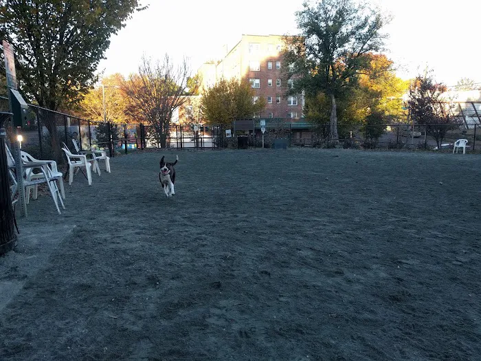 Upshur Dog Park 3