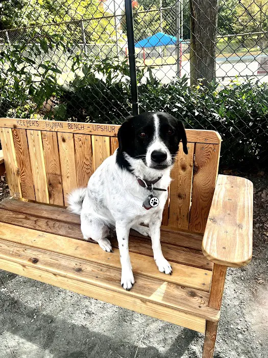 Upshur Dog Park 9