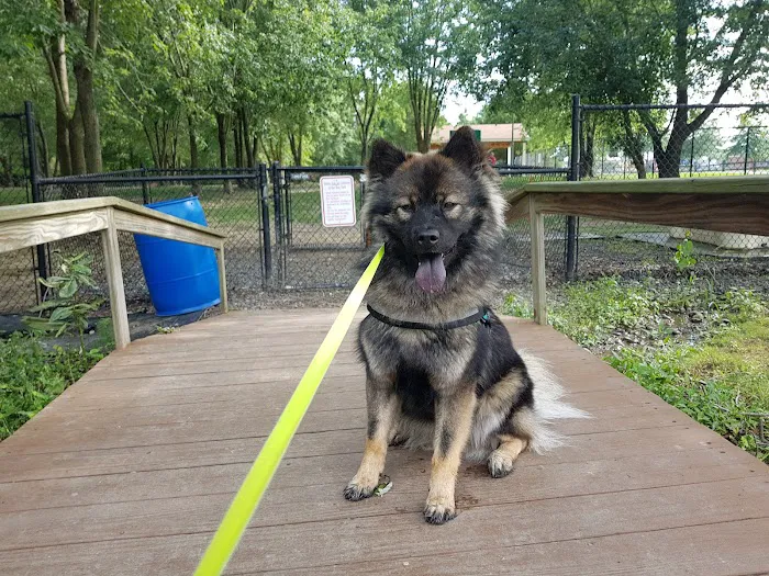 Island Dog Park 10