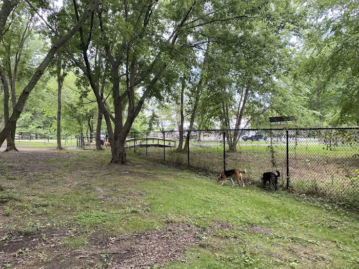 Island Dog Park 9