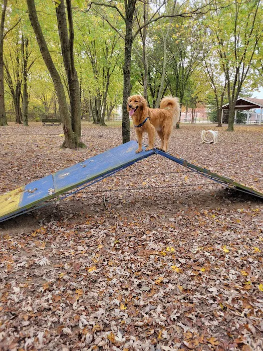 Island Dog Park 8