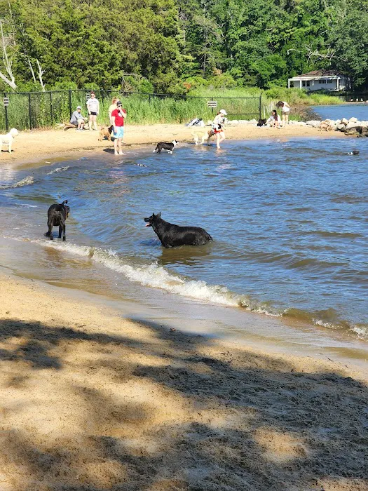 Quiet Waters Dog Park 8