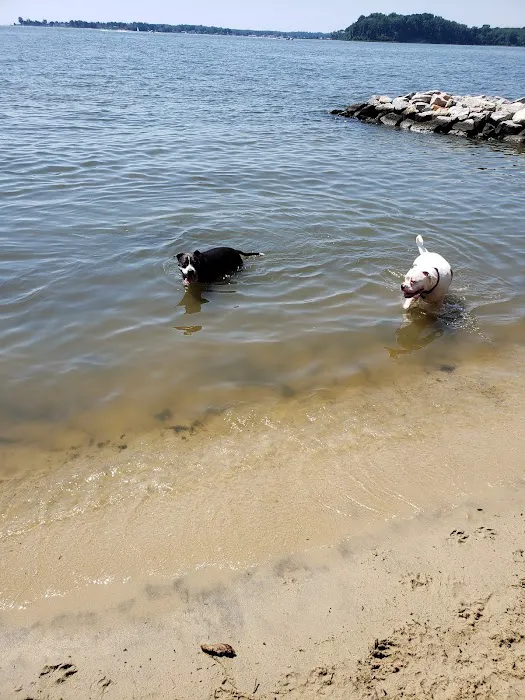 Quiet Waters Dog Park 9