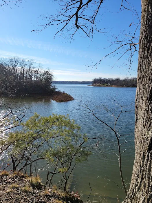 Quiet Waters Dog Park 4