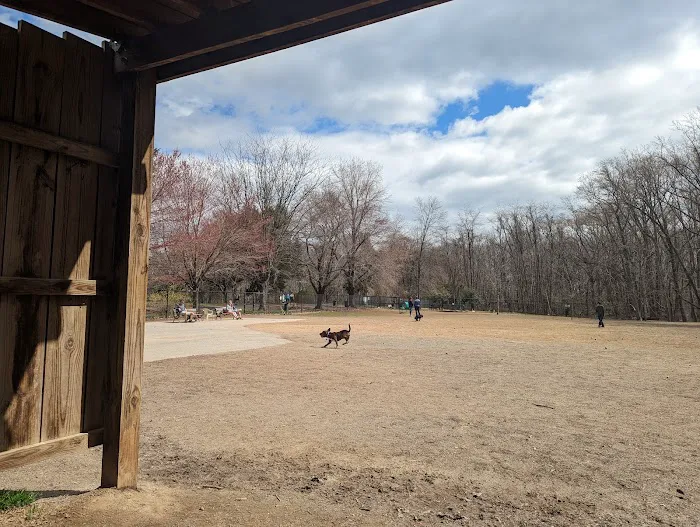 Quiet Waters Dog Park 3