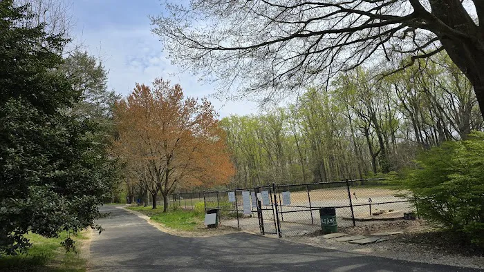 Quiet Waters Dog Park 6
