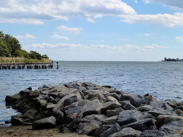 Quiet Waters Dog Beach 8