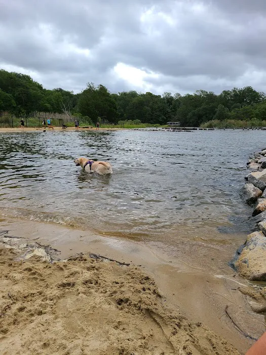 Quiet Waters Dog Beach 9