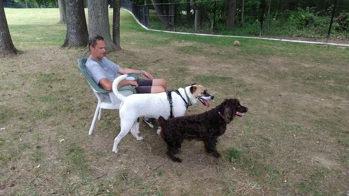 Edgewater Dog Park 5