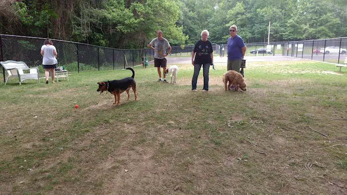 Edgewater Dog Park 4