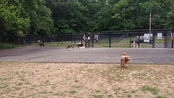 Edgewater Dog Park 7