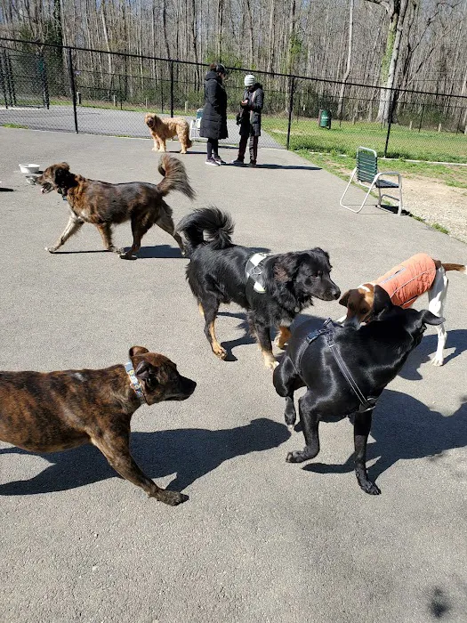 Edgewater Dog Park 10