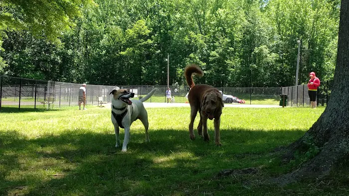Edgewater Dog Park 1