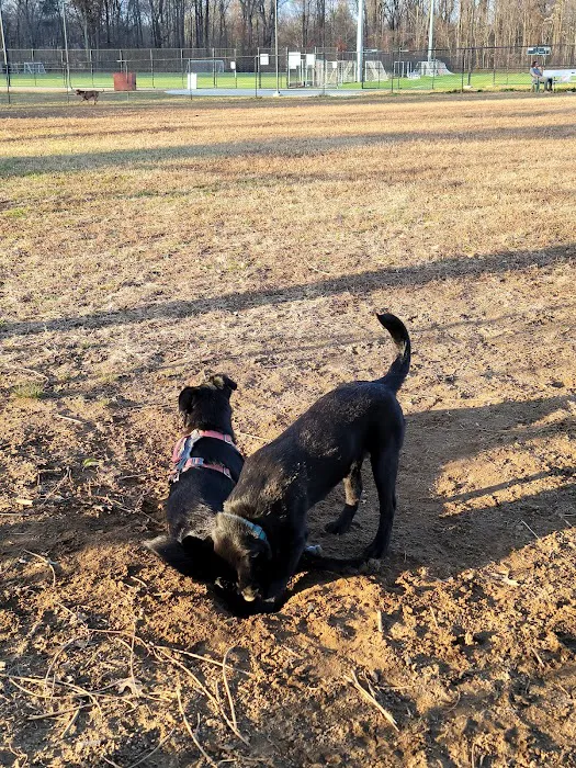 Bell Branch Dog Park 8