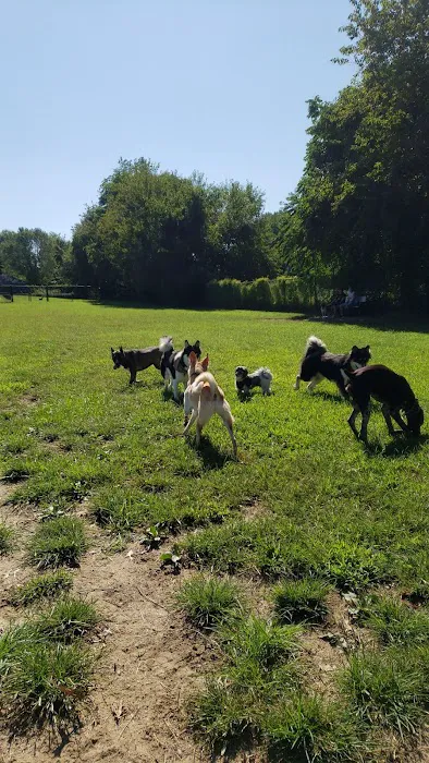 Bell Branch Dog Park 3