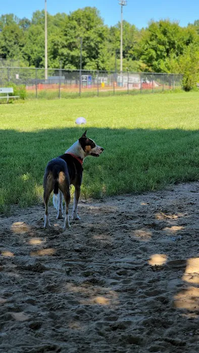Bell Branch Dog Park 10